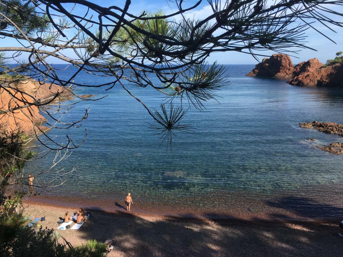 "Les Alizes" Cote Jardin Proche Bord De Mer Saint-Raphaël エクステリア 写真