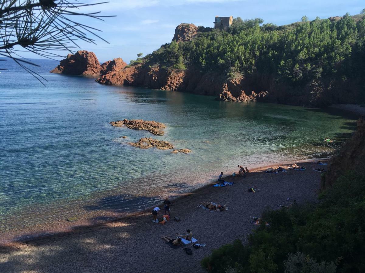 "Les Alizes" Cote Jardin Proche Bord De Mer Saint-Raphaël エクステリア 写真