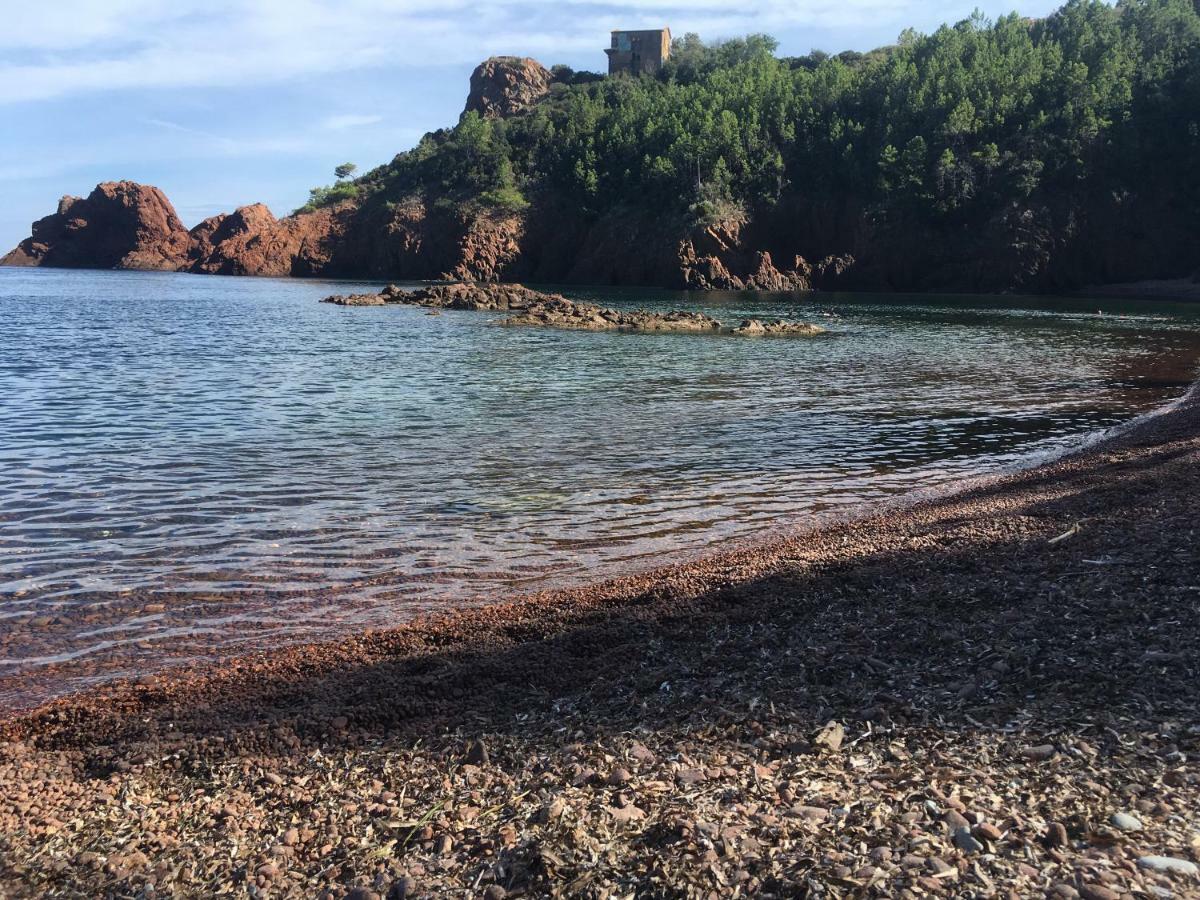 "Les Alizes" Cote Jardin Proche Bord De Mer Saint-Raphaël エクステリア 写真