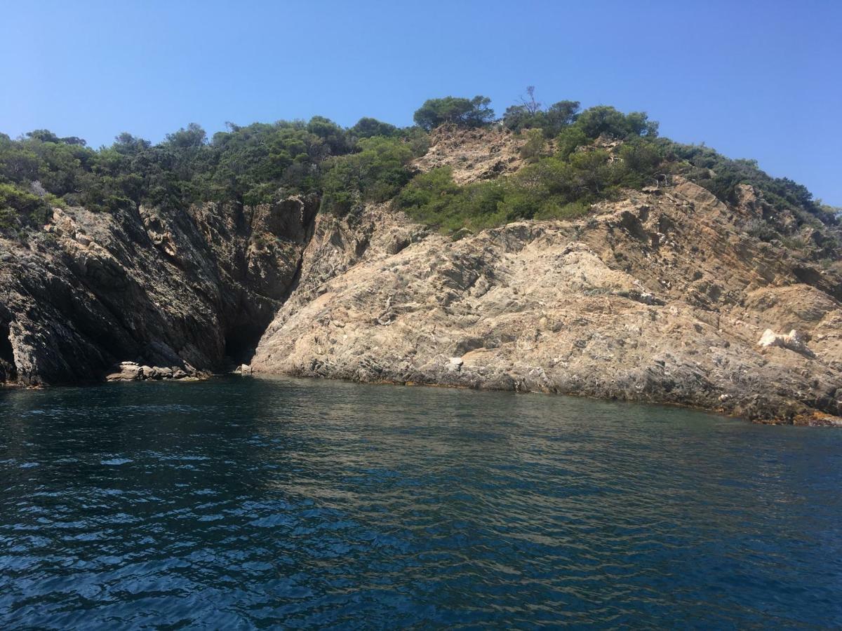 "Les Alizes" Cote Jardin Proche Bord De Mer Saint-Raphaël エクステリア 写真