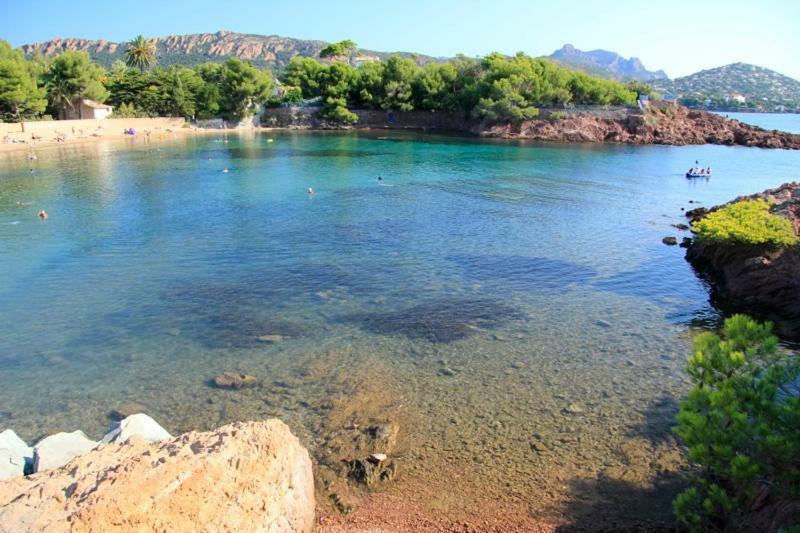 "Les Alizes" Cote Jardin Proche Bord De Mer Saint-Raphaël エクステリア 写真